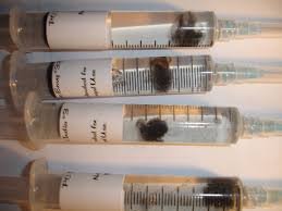shroom spore syringe
