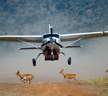 Great Masai Mara Fly-in Safari