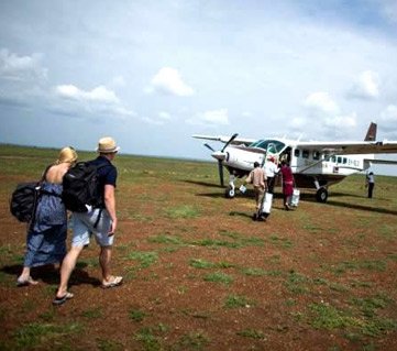 Masai Mara Fly and Drive Group Tour