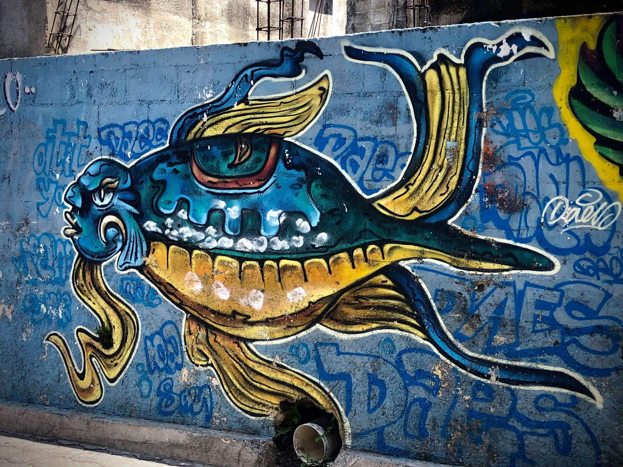 San Pedro La Laguna Street Art. Artist Unknown. Photo by Willow Coyle.