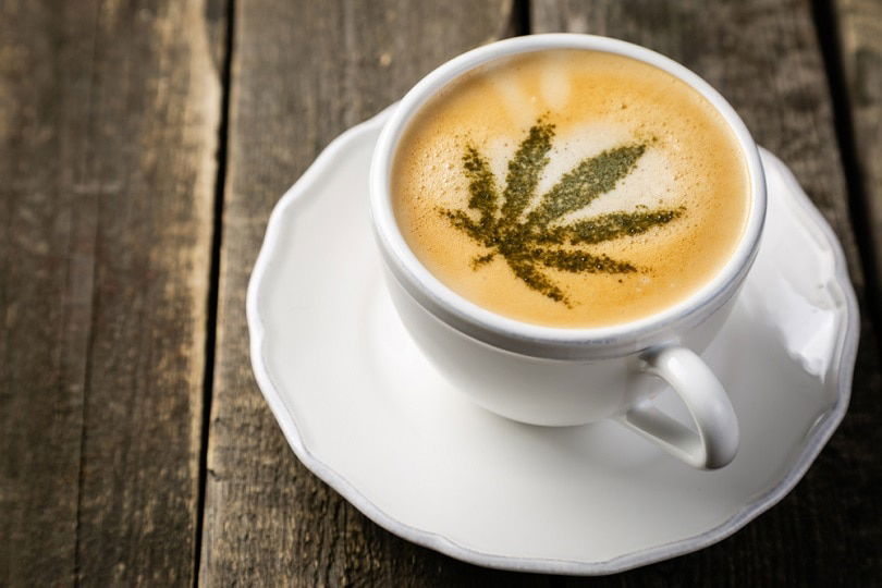 CBD coffee online