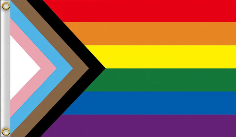 drapeau lgbt progress flag