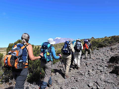 Guided Safari Tours Tanzania