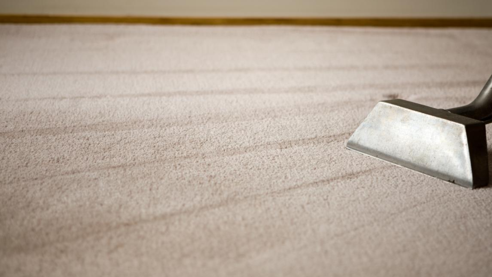 Carpet Sanitisation