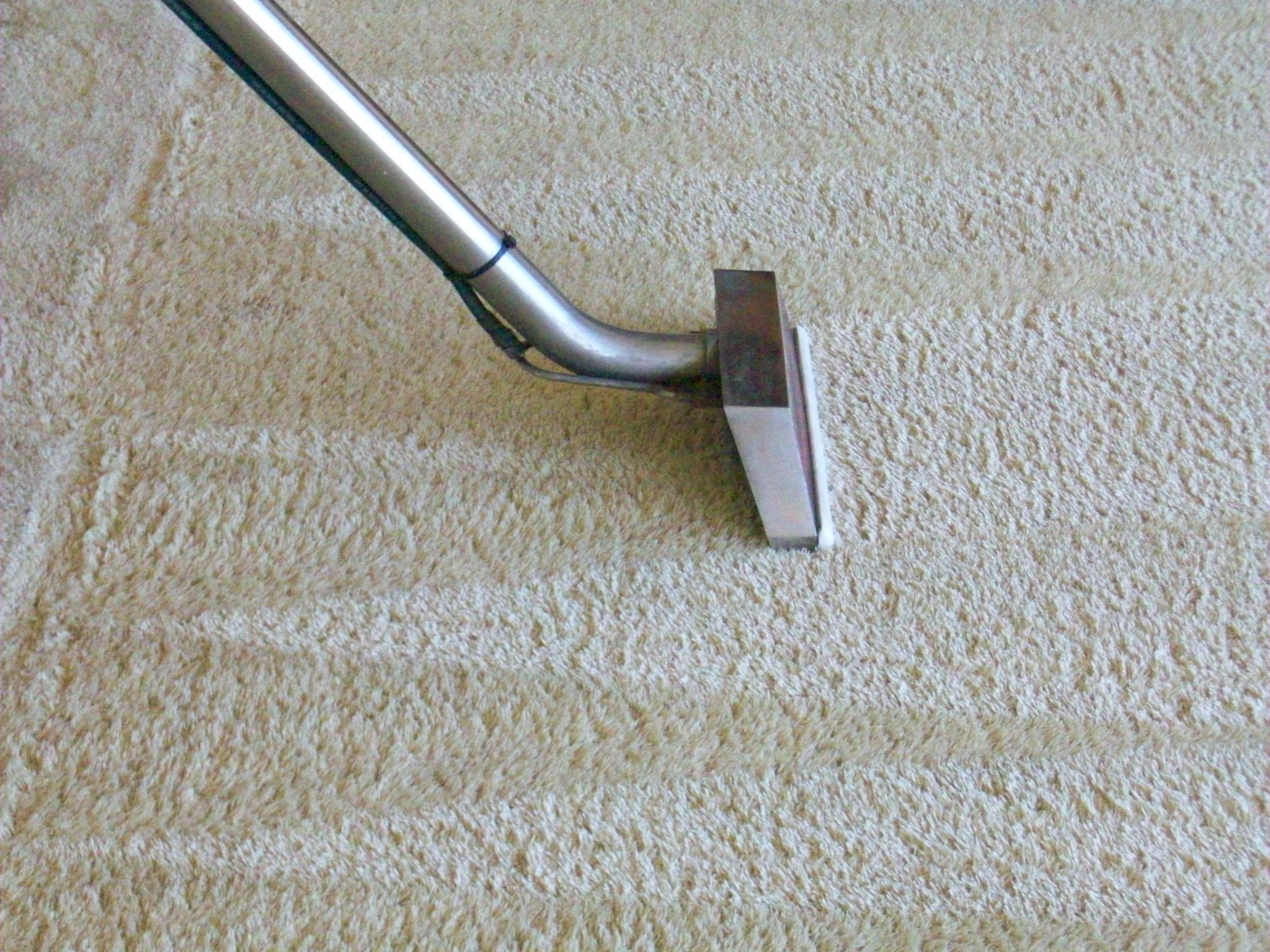 Carpet Mould Removal