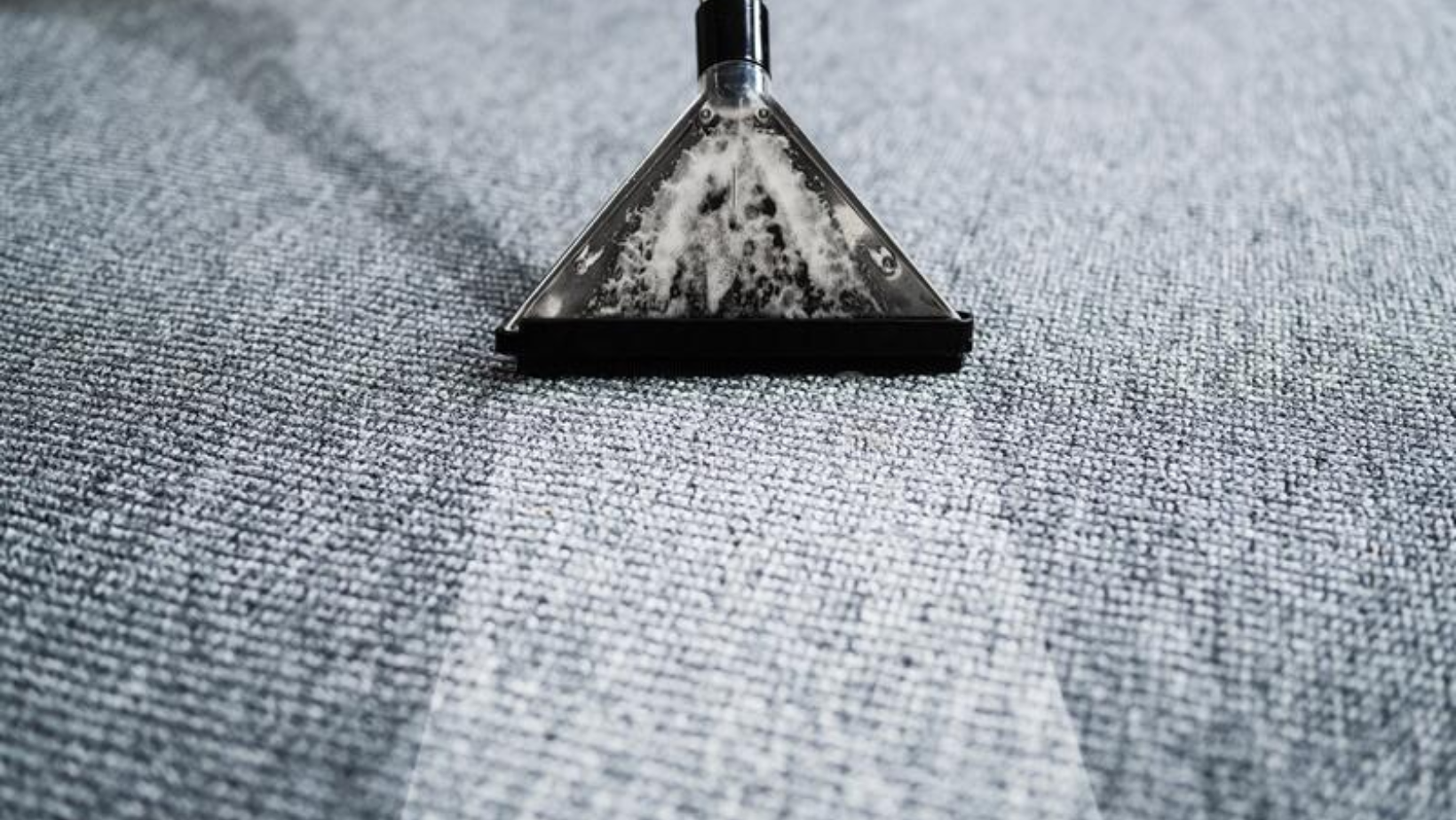 Carpet Steam Cleaning