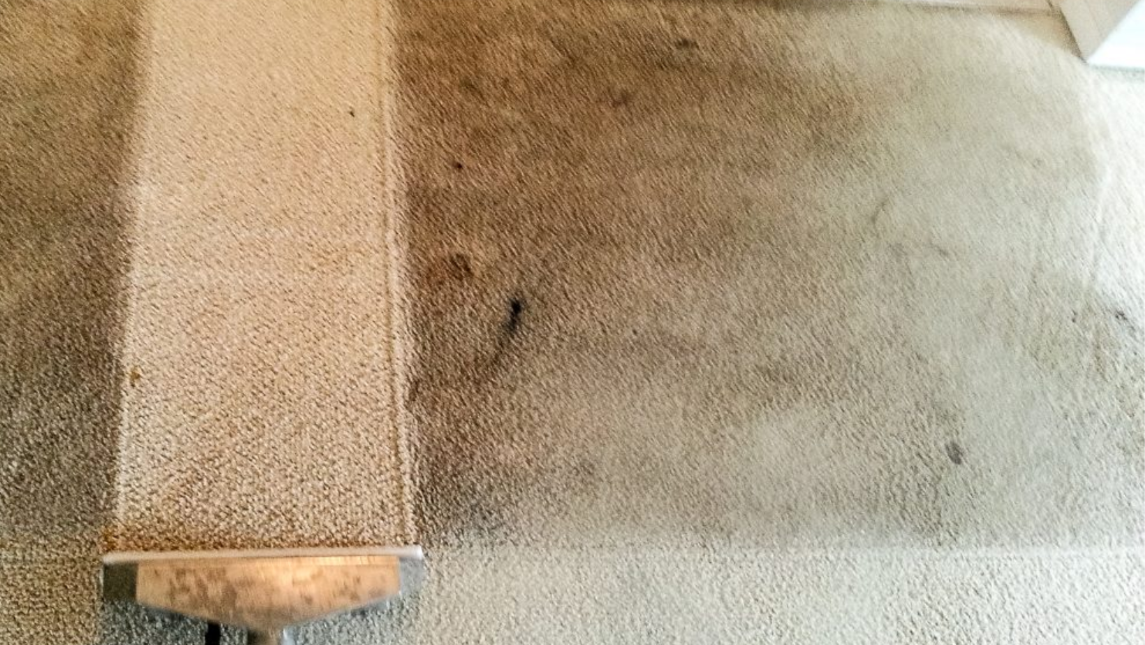  Carpet Cleaning Perth