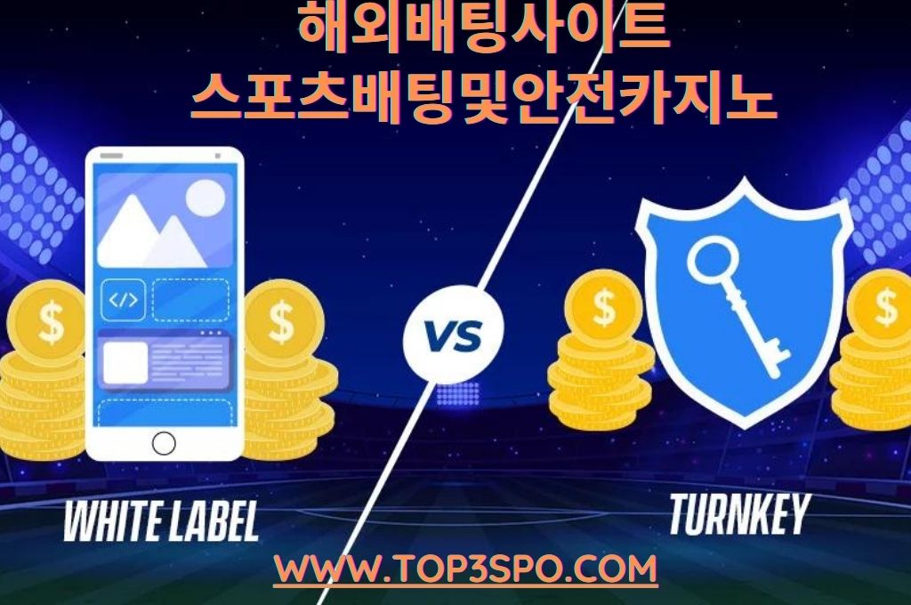 White lable versus turnkey, mobile vector and security and a gold dollar coin vector