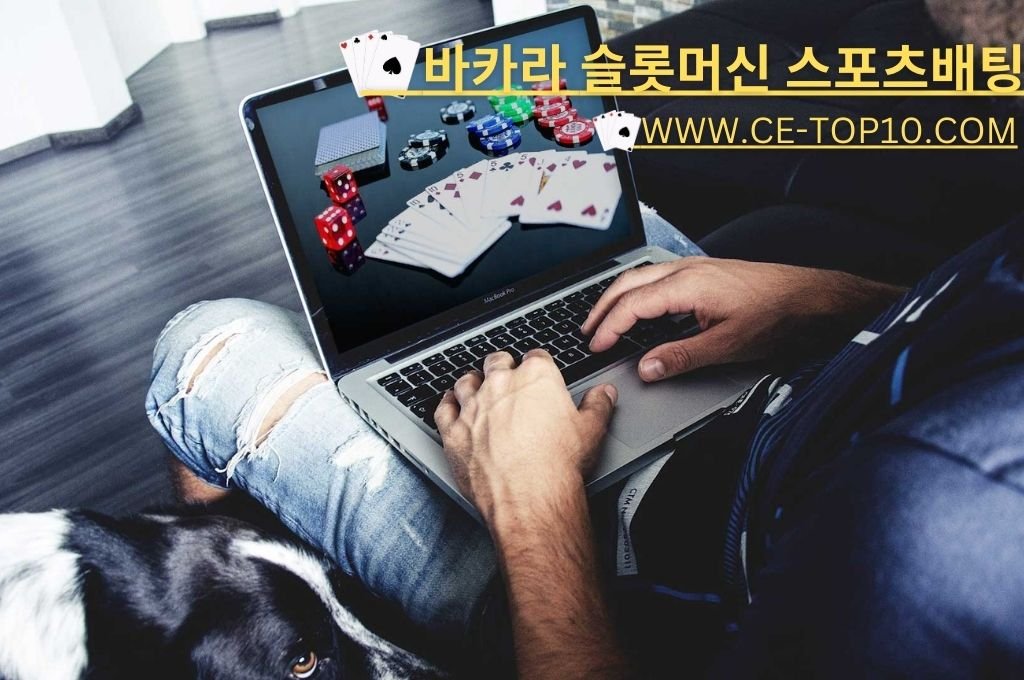 man sitting on a couch while playing online casino on his laptop with his pet