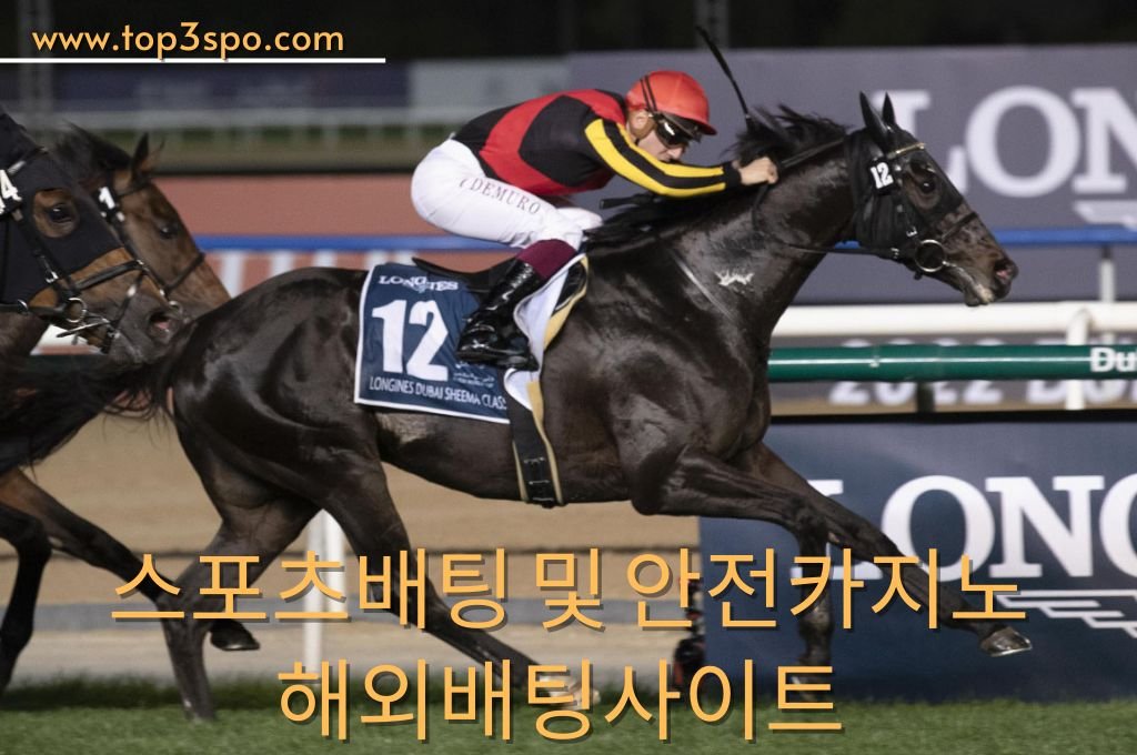 A professional jockey with his black horse win the race.