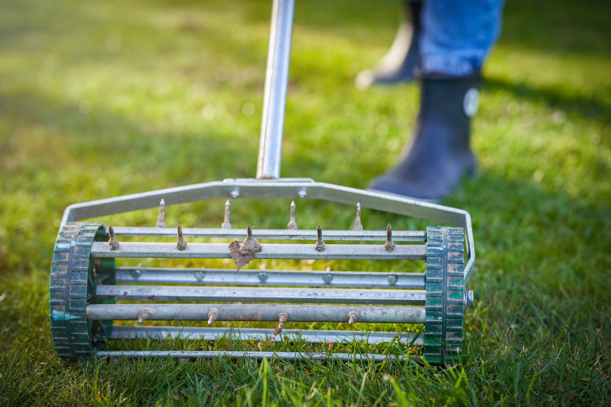 Lawn aeration service
