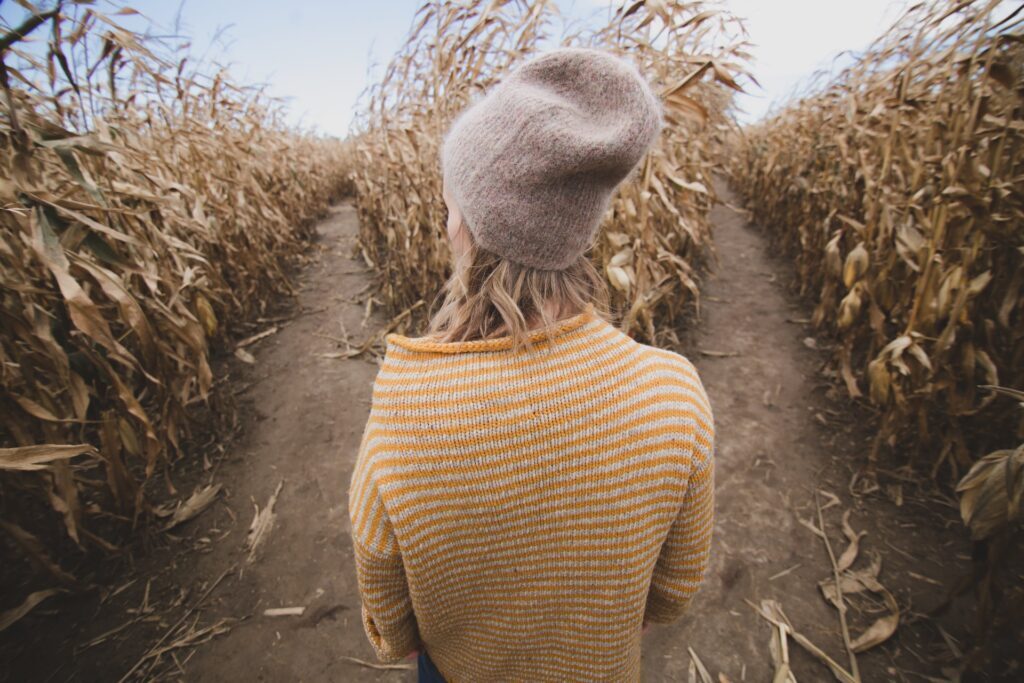 View of a woman standing at a forked path in a dead corn field.