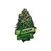 Strain Insider | Cannabis Business & Lifestyle Magazine
