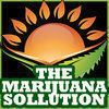 Florida Medical Marijuana 