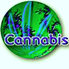 CannabisWorld.biz