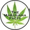 The Marijuana Facts | Cannabis Enthusiasts | Bloggers | Cannabis Educators