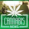 Cannabis Info Point
