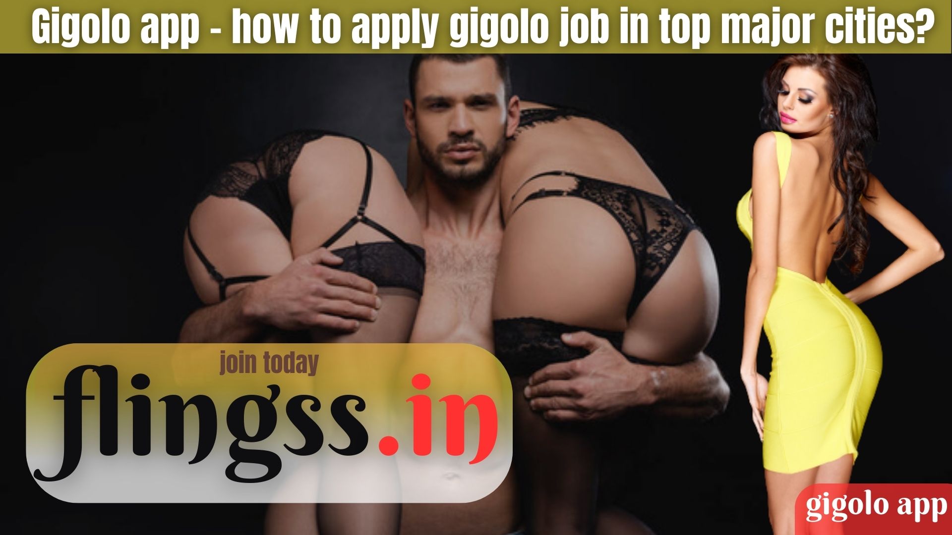 gigolo job