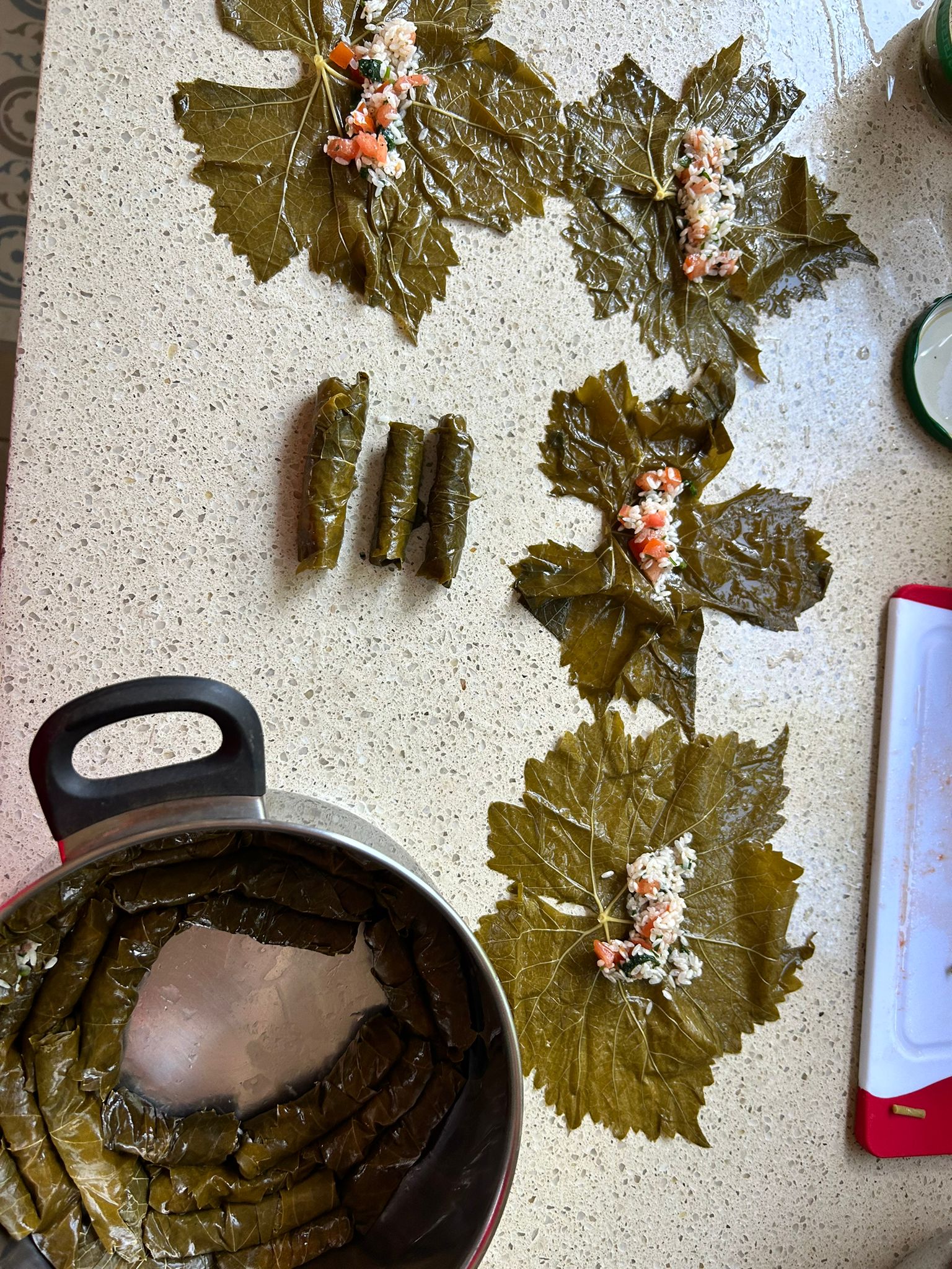 עלי גפן ממולאים