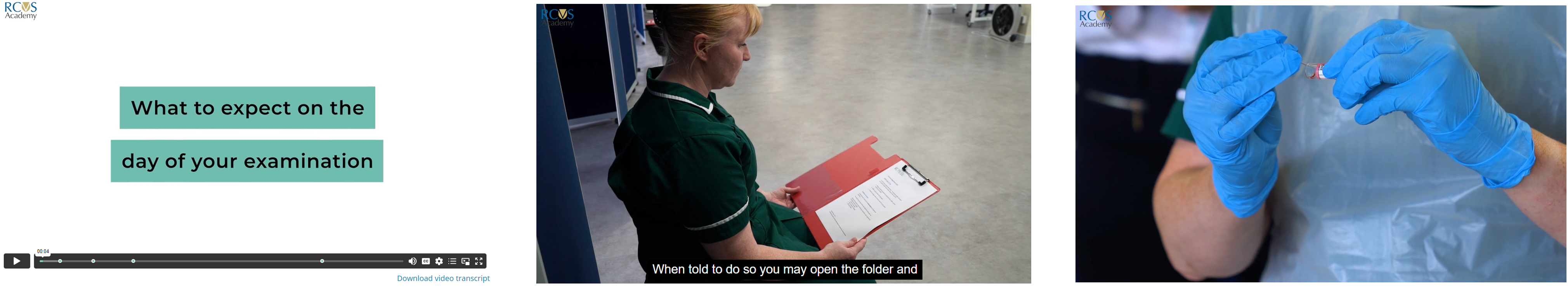 Composite images showing scenes from a veterinary nursing practical exam