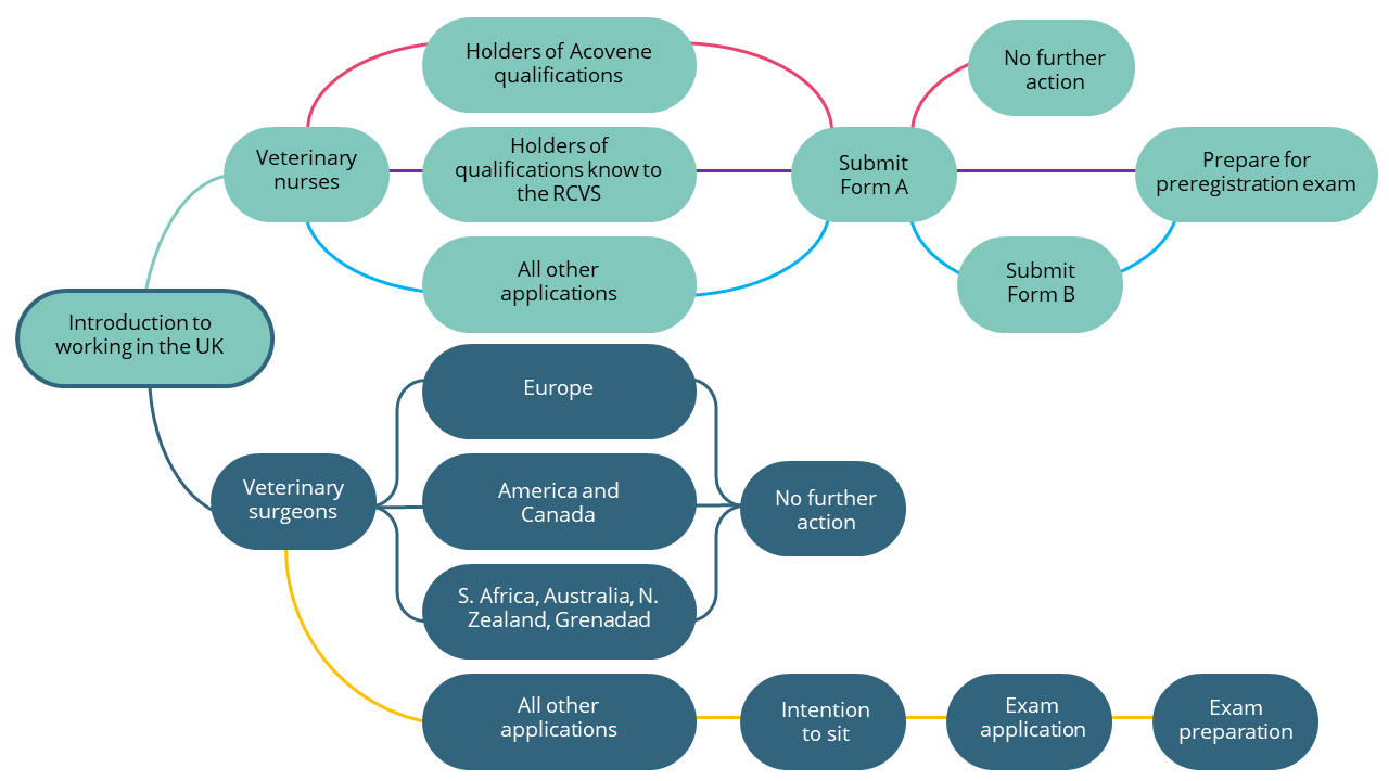 Flow diagram of users journeys