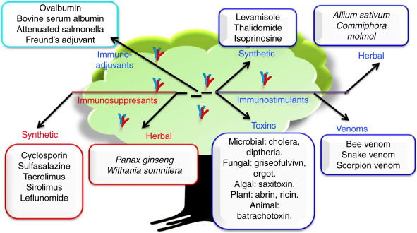 Freund's Adjuvant