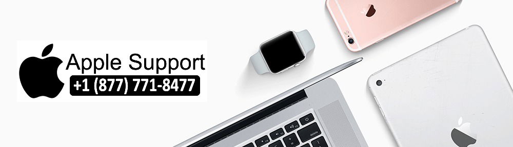 apple support phone number