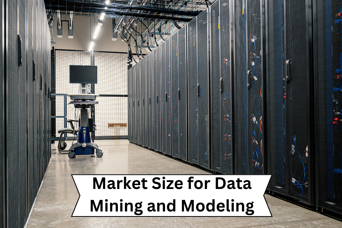 Market Size for Data Mining and Modeling