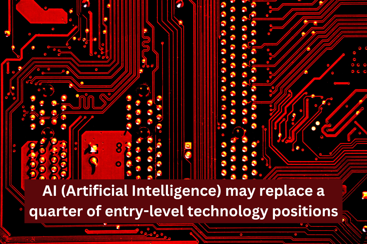 AI (Artificial Intelligence) may replace a quarter of entry-level technology positions