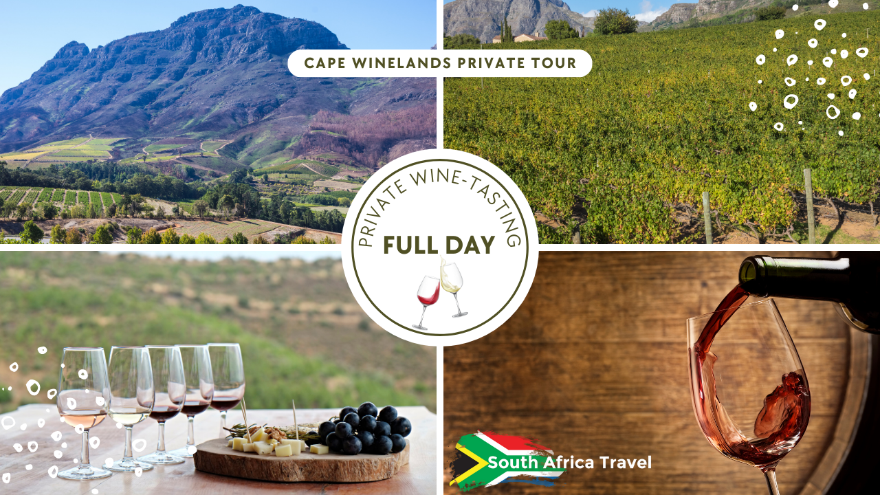 private cape winelands tour in cape town