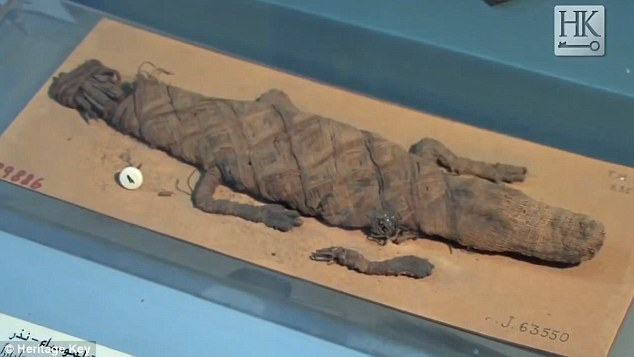 The god Sobek,  whose cultural centre was at Crocodilopolis in the Fayum, was represented by a crocodile living in the temple. A few other temples also kept sacred crocodiles, occasionally even a pair of them. A whole mummification industry grew up around his cult, with crocodiles specially grown for the purpose