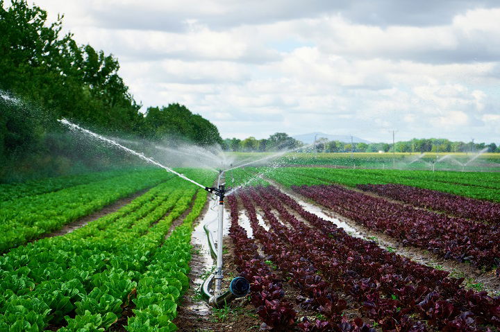 agricultural irrigation systems