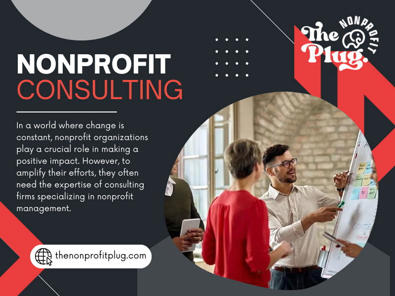 Consulting for Nonprofits