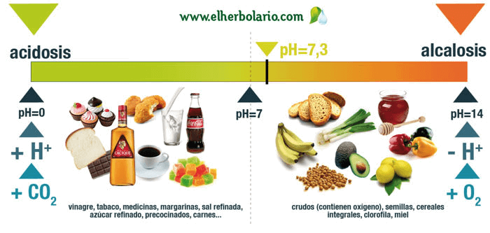 Acidosis, ph y alcalinidad, elherbolario.com