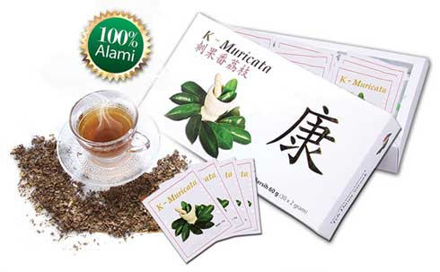 muricata asli, muricata original, harga muricata, jual muricata, manfaat muricata, khasiat muricata