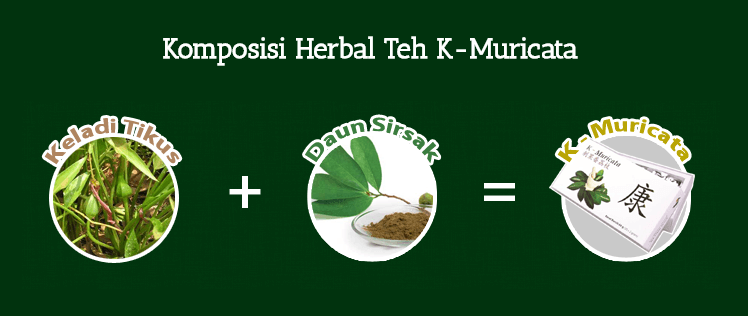 K Muricata